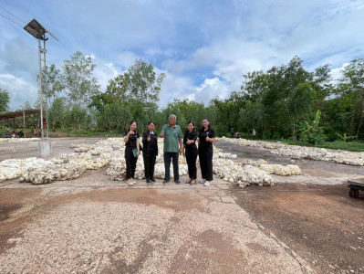 สำนักงานสหกรณ์จังหวัดยโสธร ลงพื้นที่ แนะนำ ส่งเสริม ... Image 1